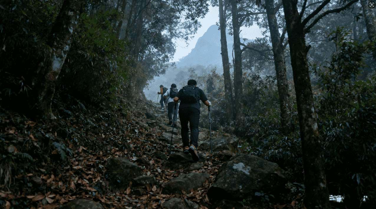 提升在线游戏体验的免费vpn加速器推荐